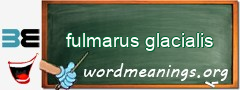 WordMeaning blackboard for fulmarus glacialis